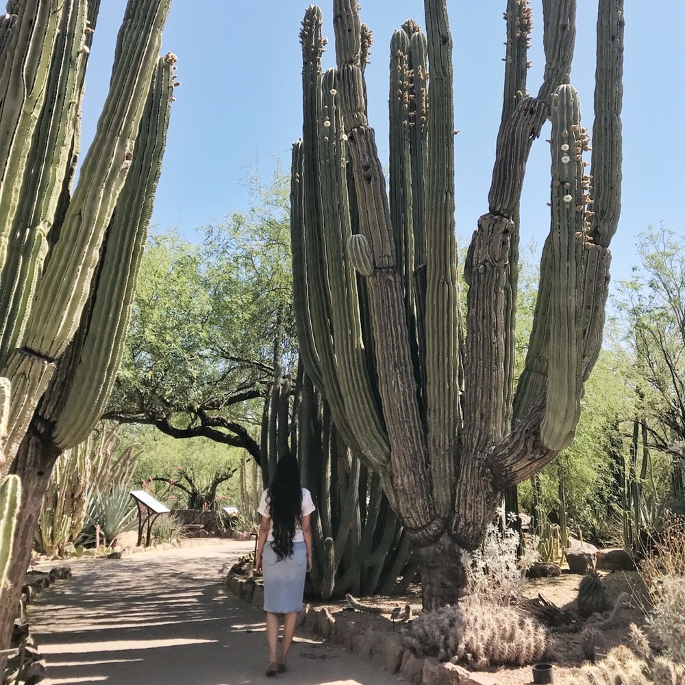 Meet your Posher, Mars